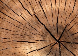Co można zrobić z drewna dla dzieci?